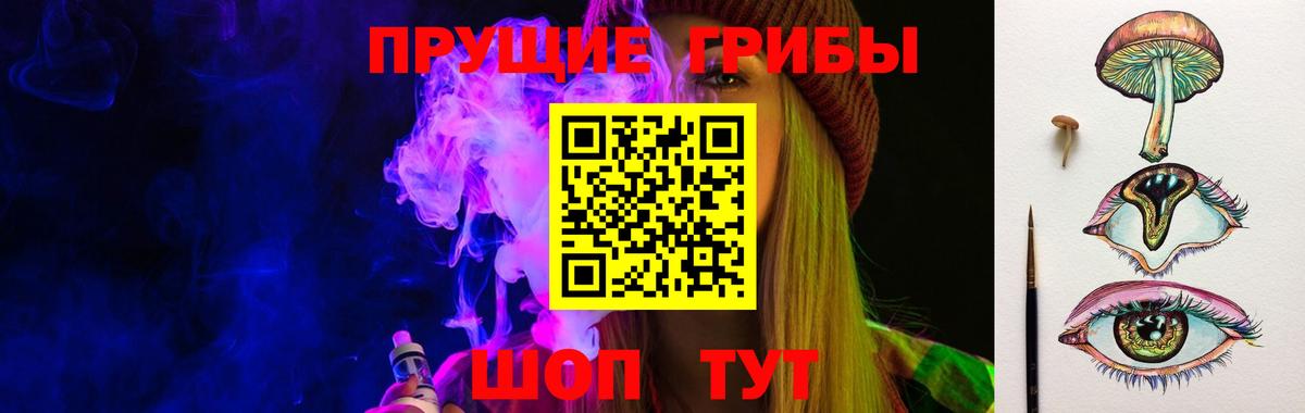 купить закладку  Псилоцибиновые грибы Psilocybe  Галлюциногенные грибы прущие грибы  Вход с VPN  Гурьевск 
